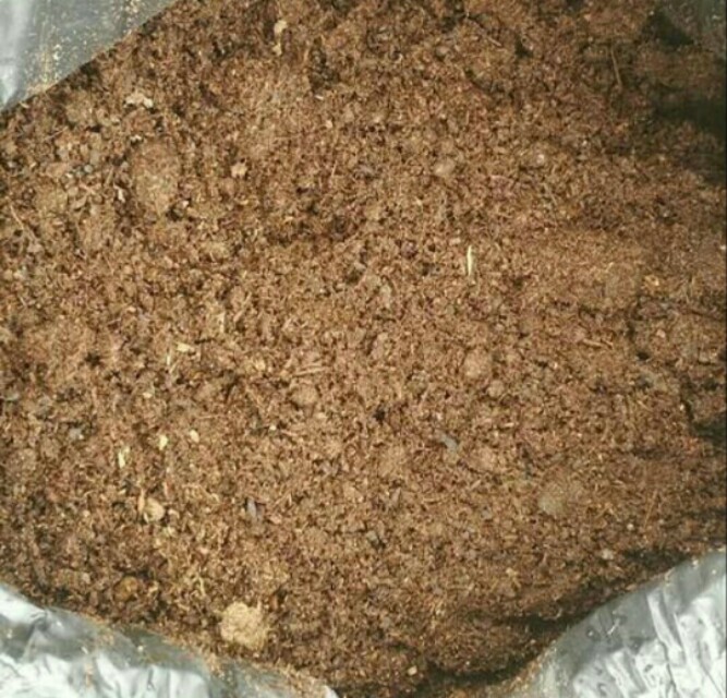 教爱养花的你如何自制营养土,养花自制营养土制作简单肥力更好