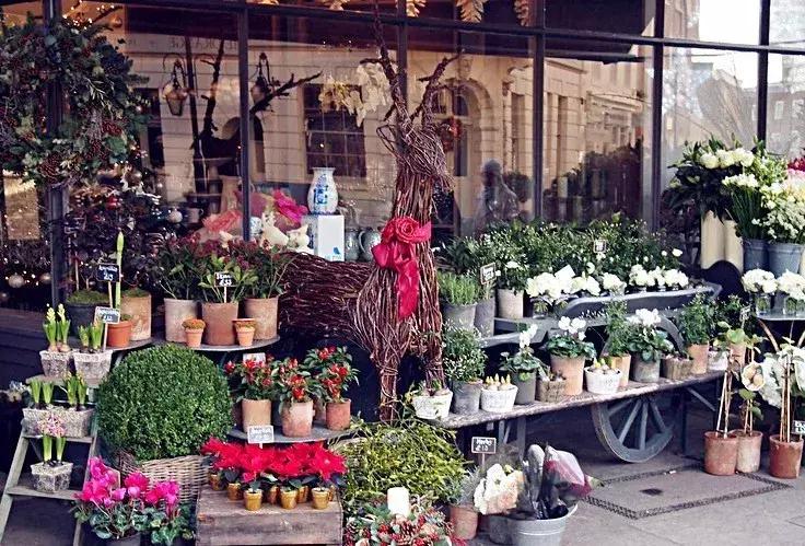 开一个花店指南,如果你也想开一家花店书籍