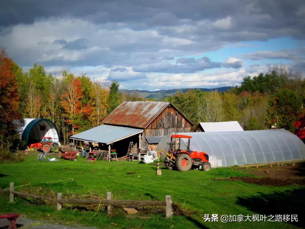 加蓬中国人的超市,加蓬中国人超市