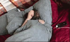 恭喜在最美四月捡了一个小时！夏令时将结束！和中国时差变2小时