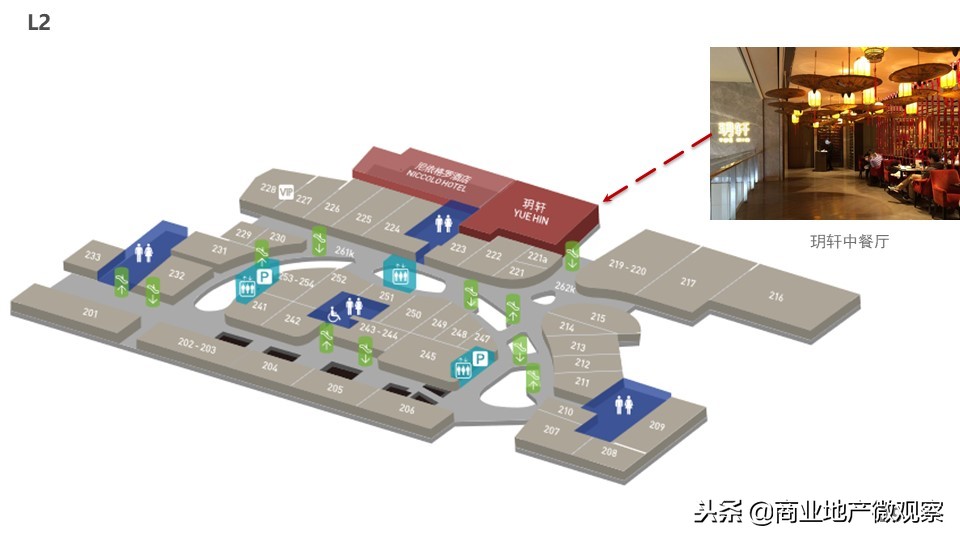 在成都看ifs熊猫,成都ifs上的爬墙大熊猫