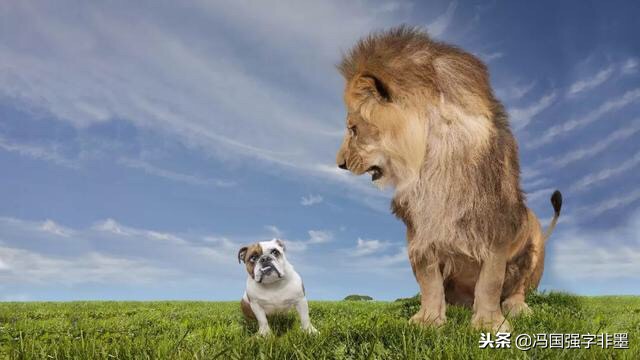 跨越代沟的爱,跨越代沟鸡汤