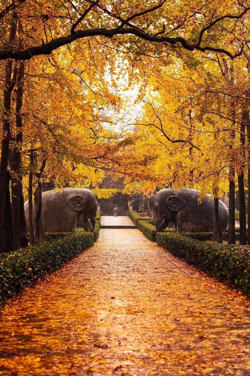 南京天空之镜高清图,中国五大惊艳世界的城市