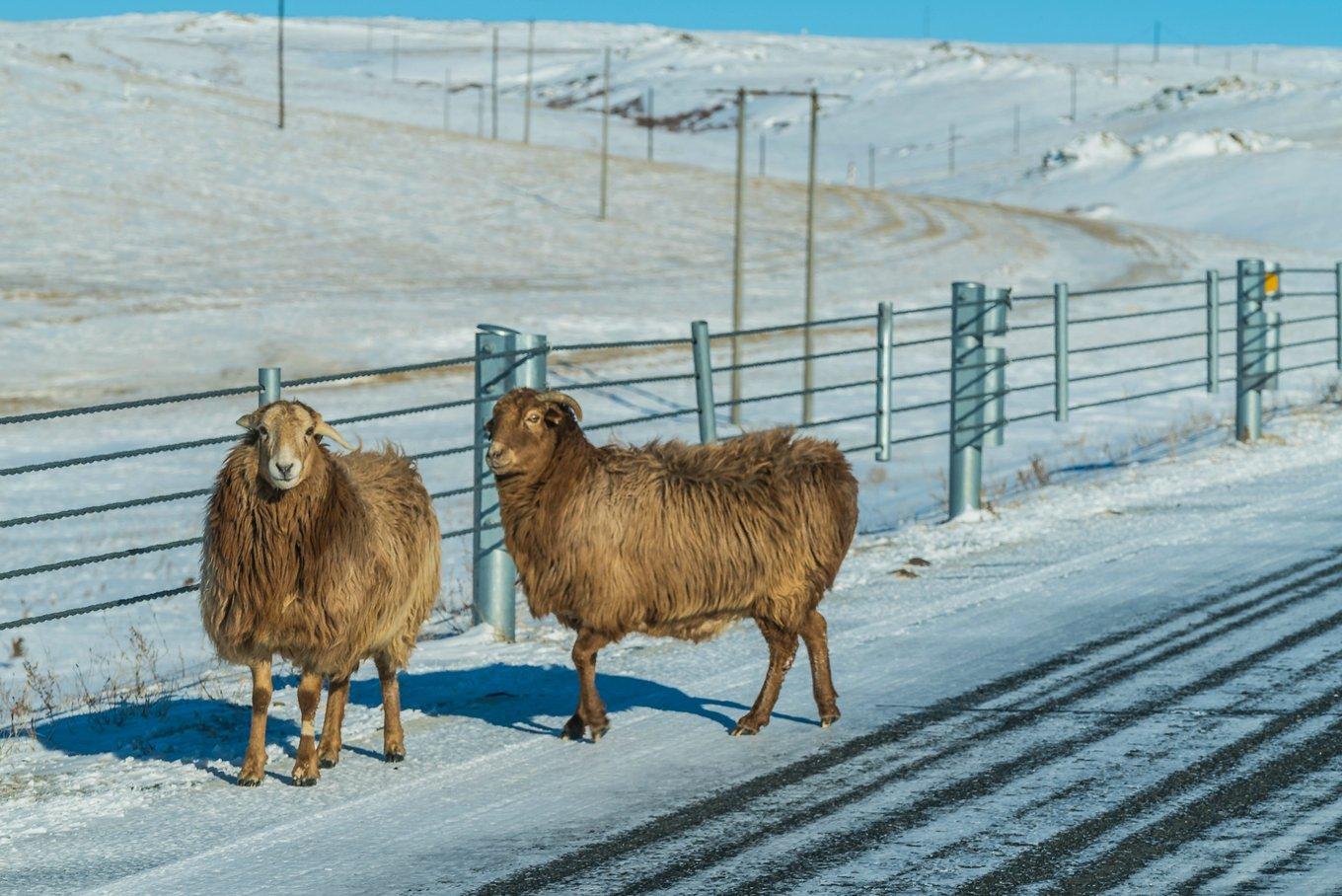 美西自驾游大环线,美西大环线自驾线路攻略