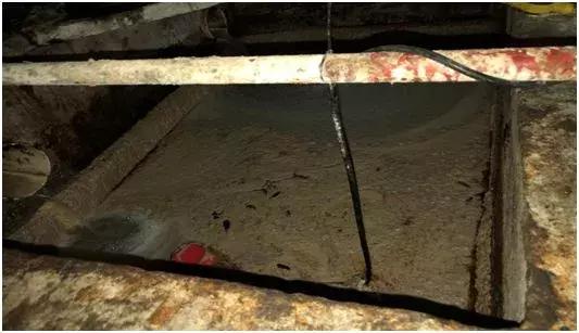 为什么有的广州人不喜欢点都德?