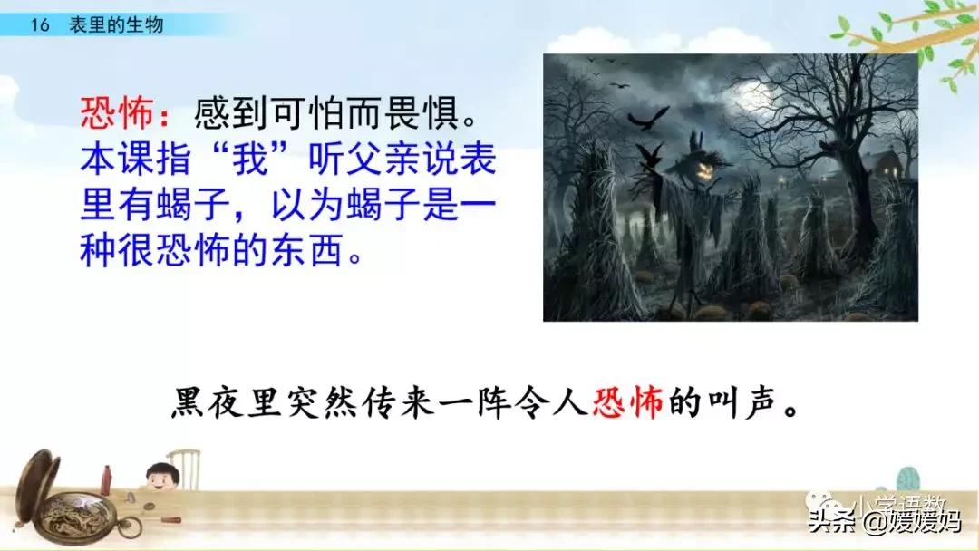 六年级下册语文表里的生物朗诵,六年级下册表里的生物小练笔400字