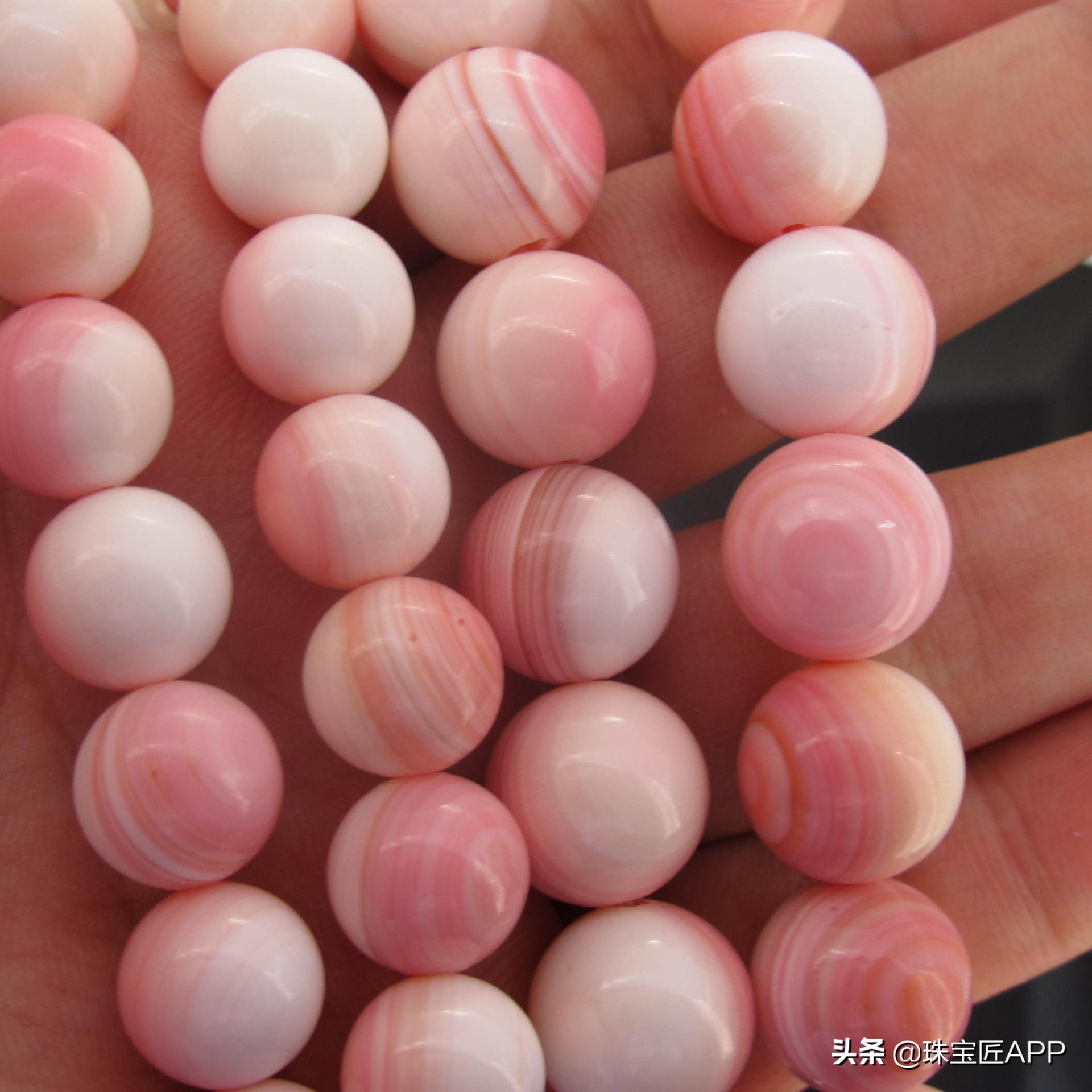 贝壳手工珠宝首饰,贝壳类珠宝首饰