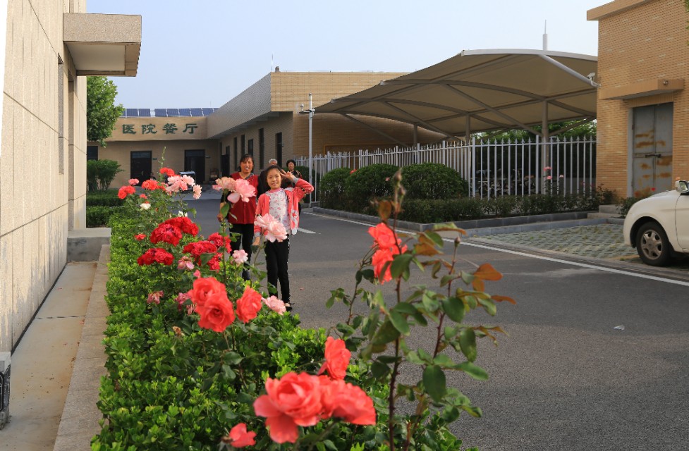 山东泗水癫痫病医院花香四季情暖人间——赵伟摄影、撰文