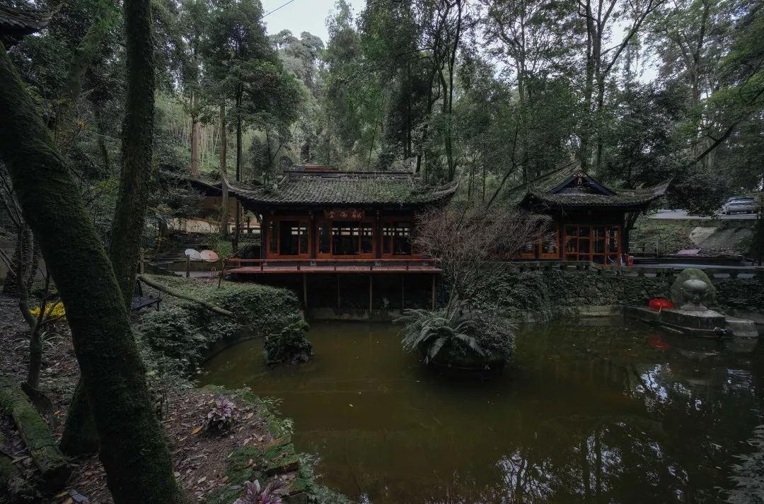 一家开在闹市里的茶馆,一家开在寺庙内的咖啡店