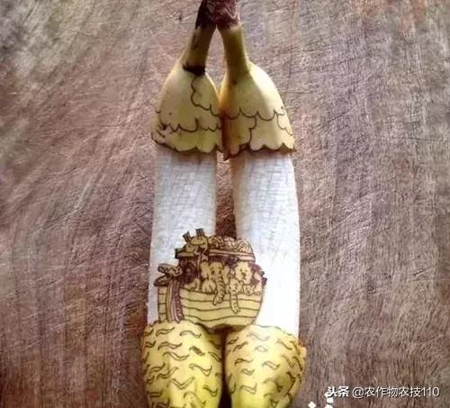 艺术与农业的饕餮盛宴,艺术与农产品结合的创新之处