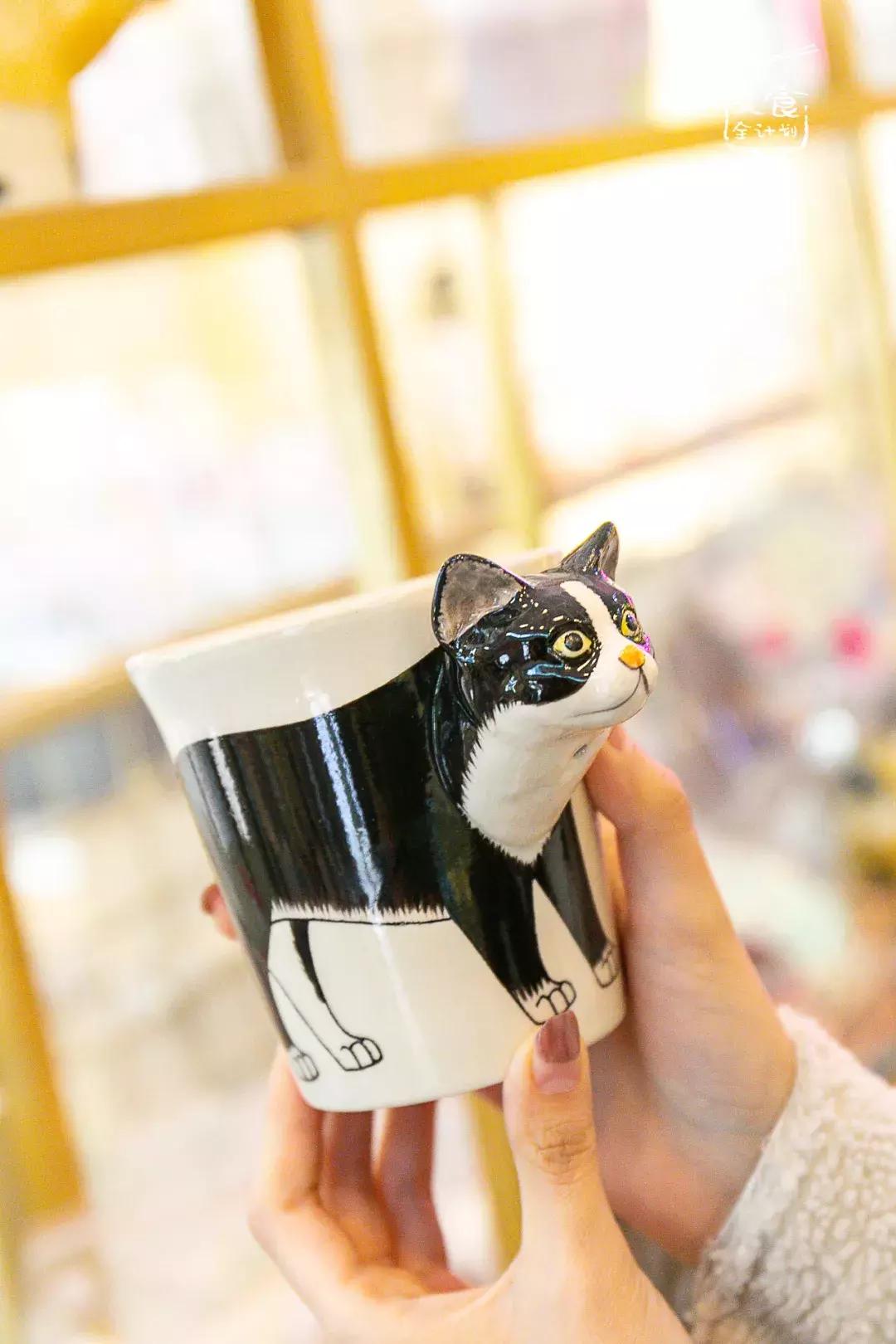 吃饭玩耍一体店,吃饭撸猫二选一