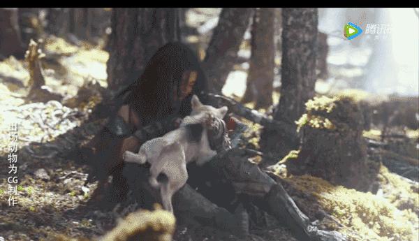 肖战的狼殿下好看吗,肖战狼殿下收官了吗