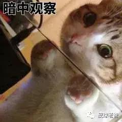 双胞胎辅食该怎么添加,五个月双胞胎宝宝如何添加辅食