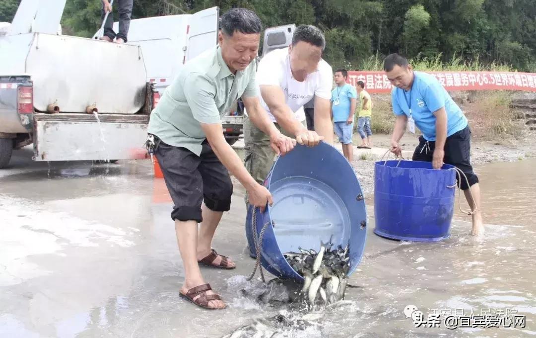 长记性啦，为啥在宜宾不能乱捕泥鳅黄鳝？江安县法院有话说