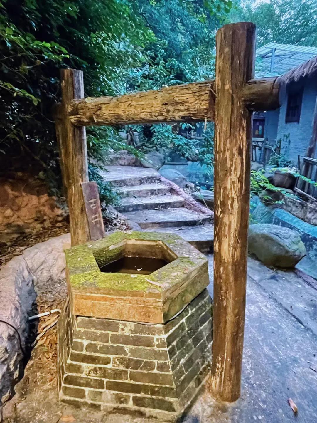 新会的小伙伴，怪兽我去打卡了网红推介的山水田园农庄了