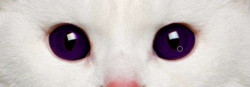 怎么在ps中更改照片底色,ps怎么改人的眼睛颜色