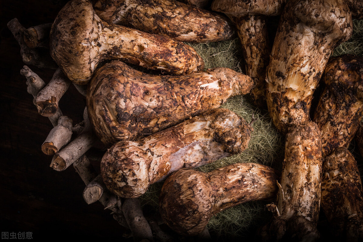 被称为菌中之冠的菌类是松茸,被誉为菌中之王的菌种叫什么名字