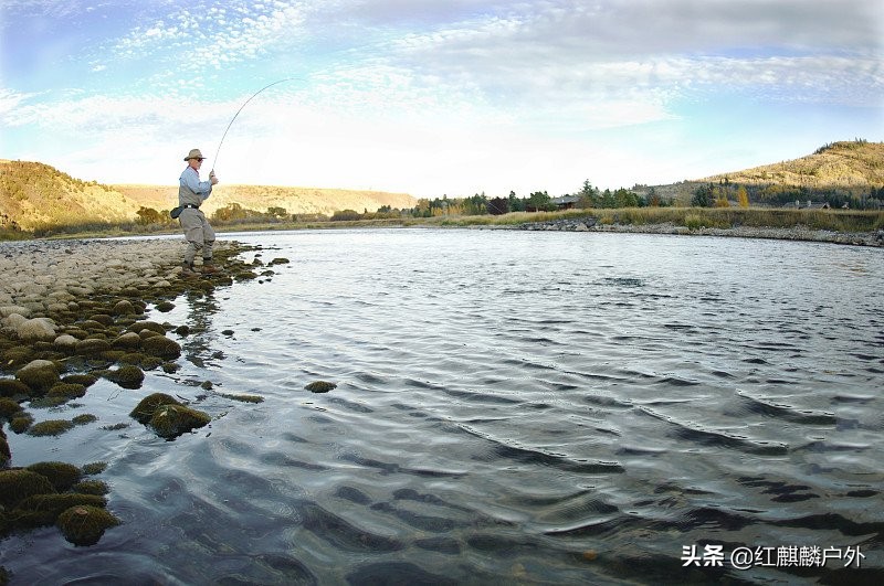 鱼线和鱼竿绑法,如何将鱼线和鱼竿绑在一起