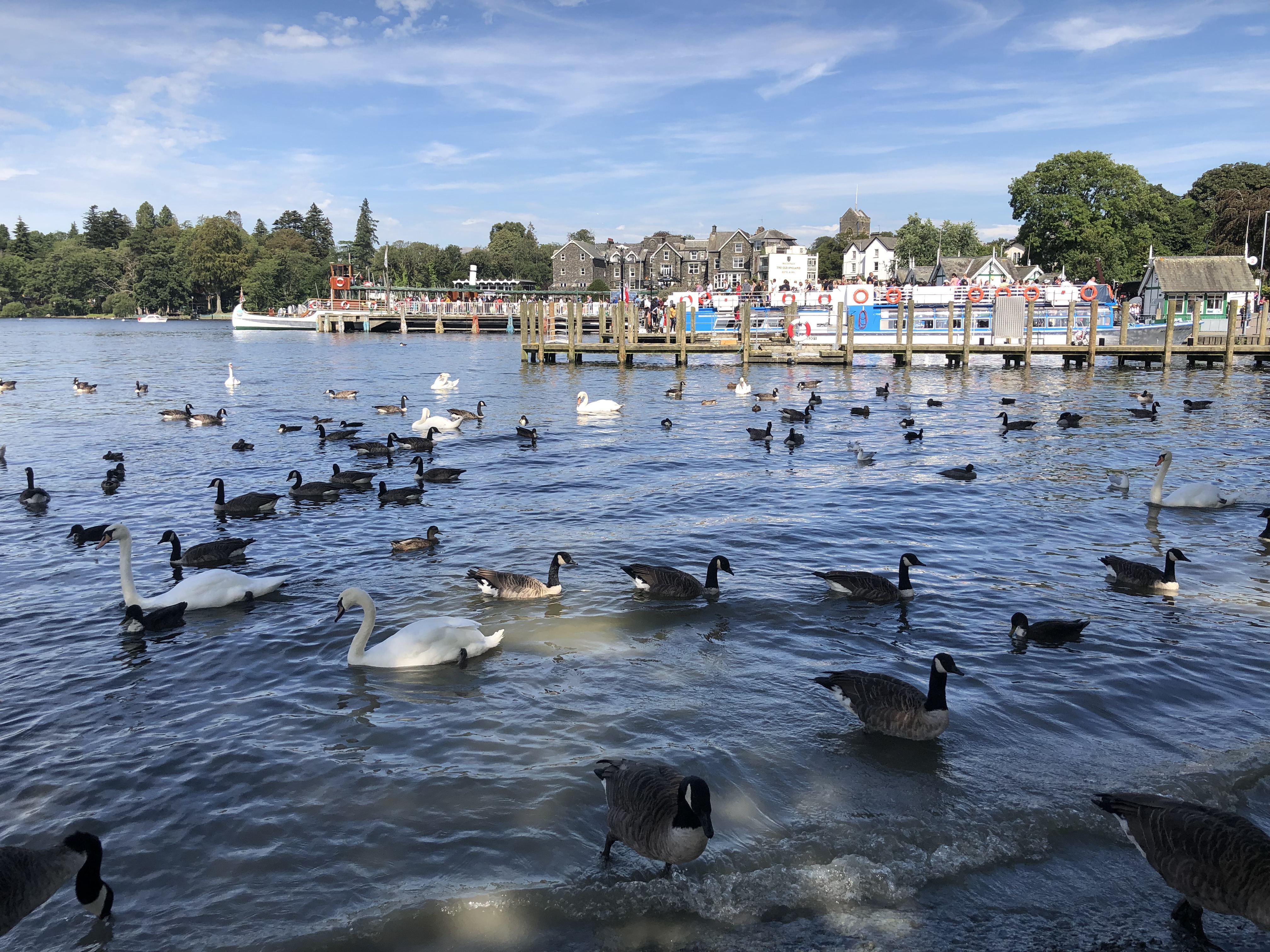 英国12日旅游的行程,英国深度游跟团6日