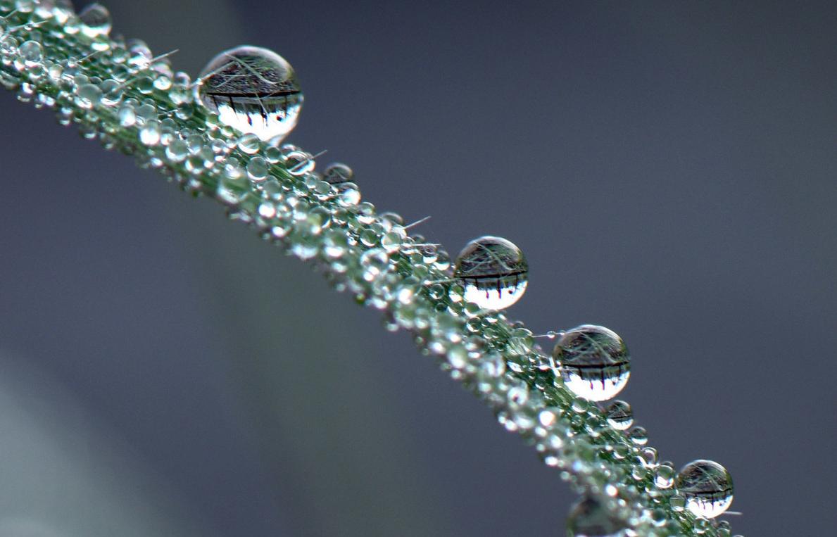 期货交易成功之道,期货交易难点