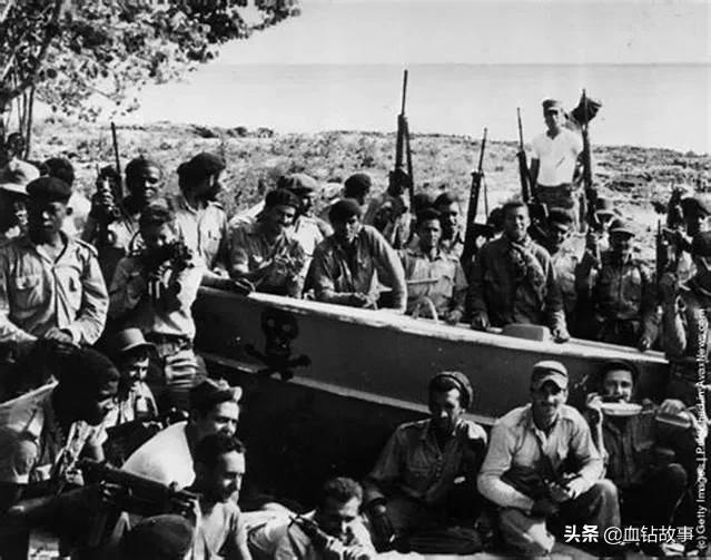 cia女特工谍战美剧,cia女特工视频大全