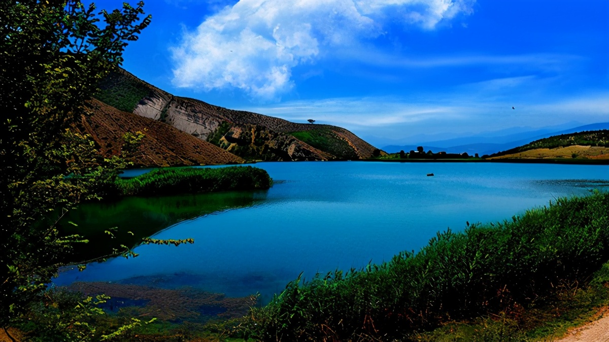 取名大全2020霸气的鼠宝宝,起名洋气鼠宝宝