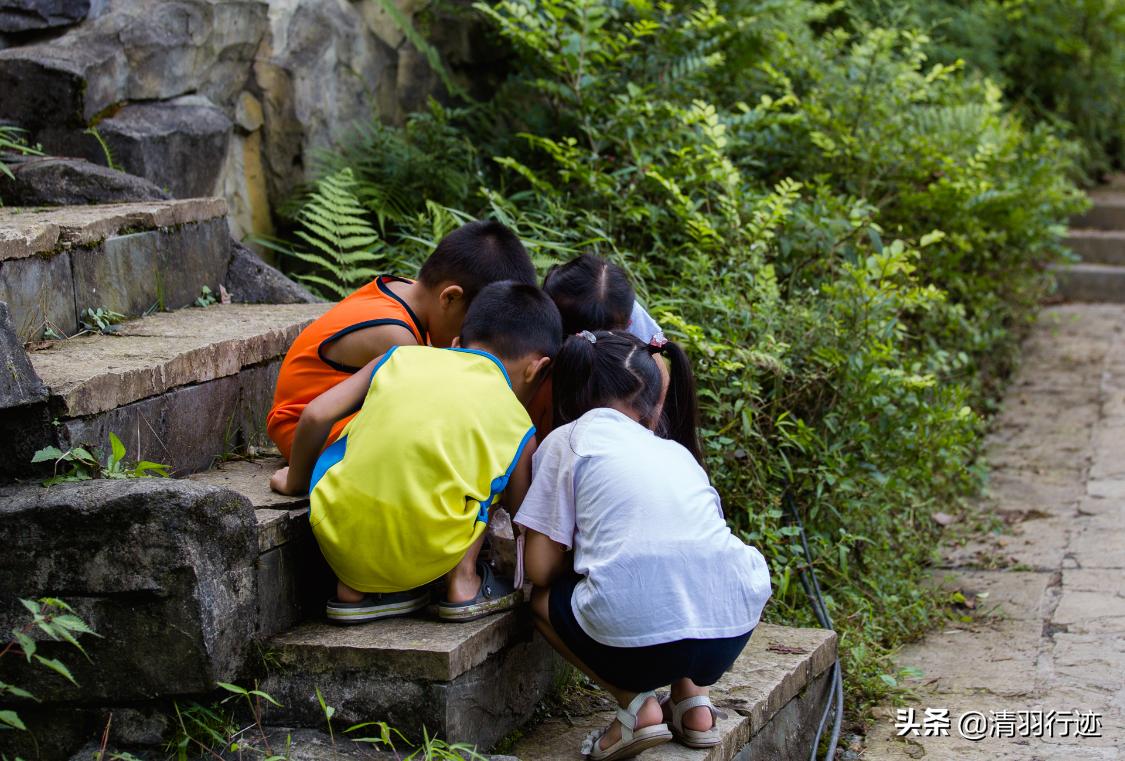 四川天然氧吧旅游推荐,四川天然氧吧有哪些地方