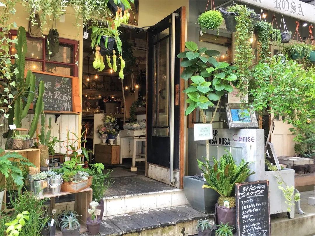 花店之旅,日本花店的真实感受