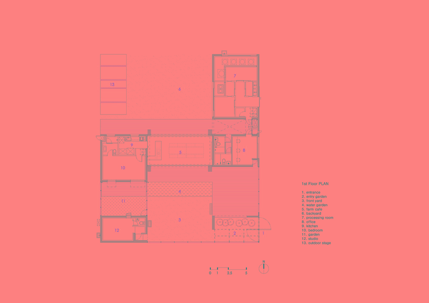 韩国蒲公英,韩国野生蒲公英的种植