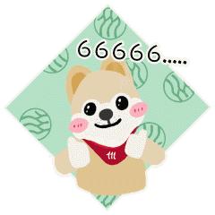 另辟“脐”径让伤痕隐形----我院妇产诊疗中心成功开展第一例单孔腹腔镜手术