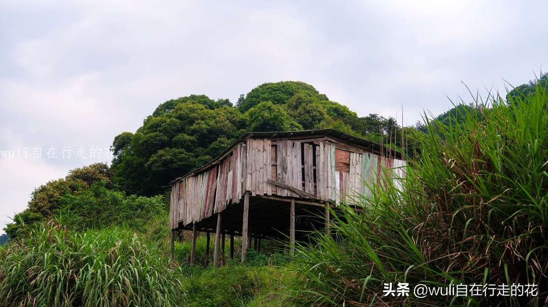 福州十八重溪徒步路线,福州森林公园登山徒步路线