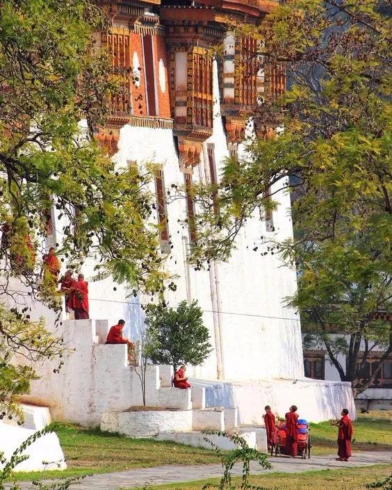 中国至今没被认全的20个邻居，个个身怀宝藏，你知道几个？