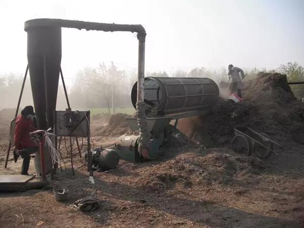 花生秧喂牛羊有什么好处?