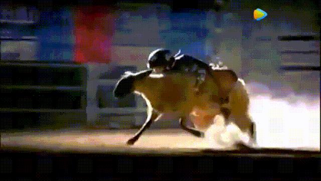 总统喊你来看片，这波硬核安利我吃了