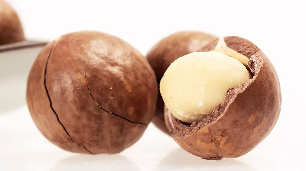 你买的年货干果，来自哪些植物？一文读懂