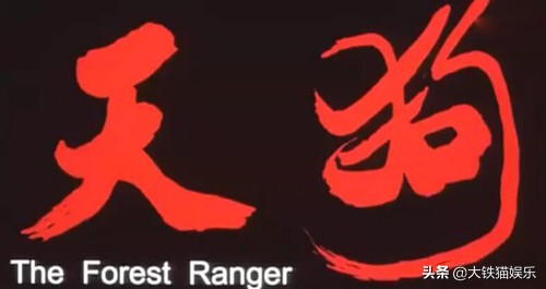 不带货的明星都是好演员,不带货的男明星