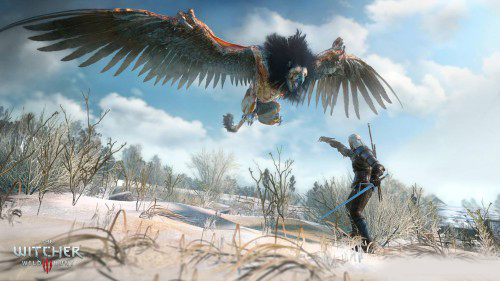 巫师2加强版,巫师2加强版怎么调中文