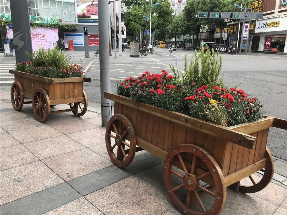 踏春赏花成都这些地方值得去看看,双流踏青赏花