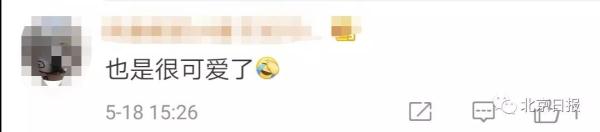 三小伙斗殴被拘留全集,三个小伙因房租起争执