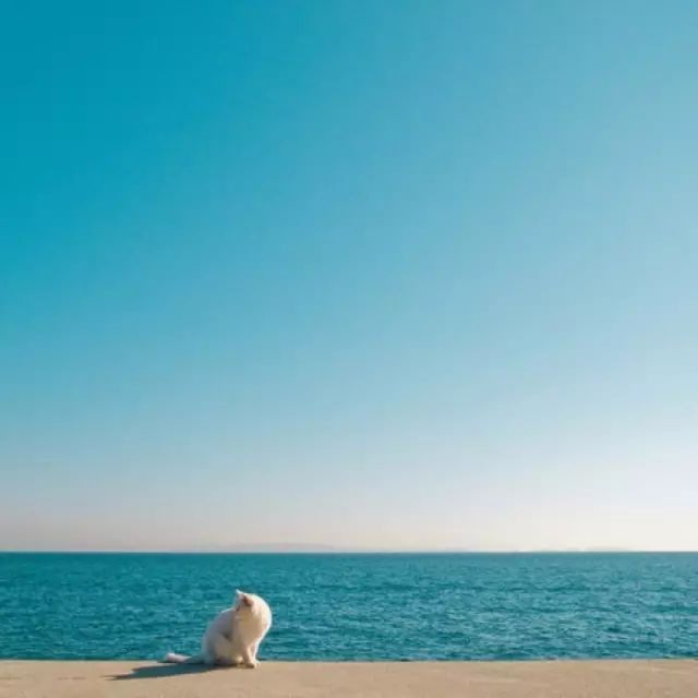 星空画简单唯美,一幅又简单又好看的画