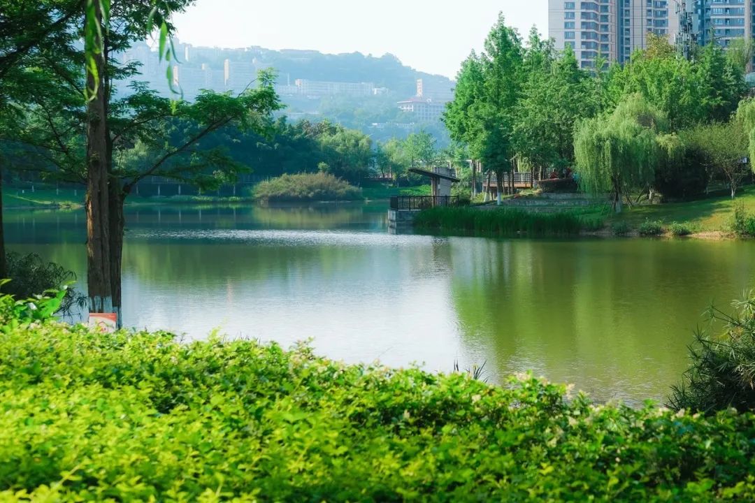 春意盎然的湿地公园,一个风景如画美丽休闲的公园