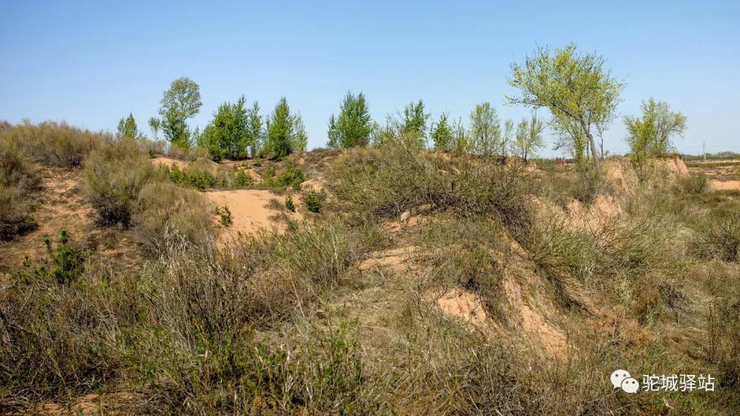 榆林芹河旅游,榆阳区周末游玩推荐