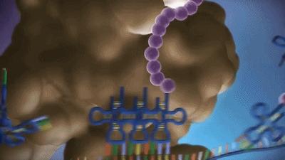 病毒与细胞起源与发展的关系,病毒与细胞起源关系