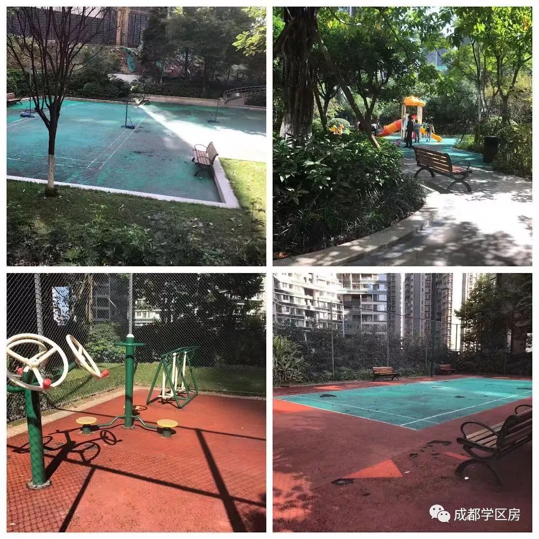 天府新区第五小学排名,天府新区a区学区房