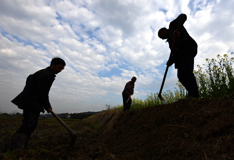 1951年一人捐赠两件国宝,水渠挖出国宝