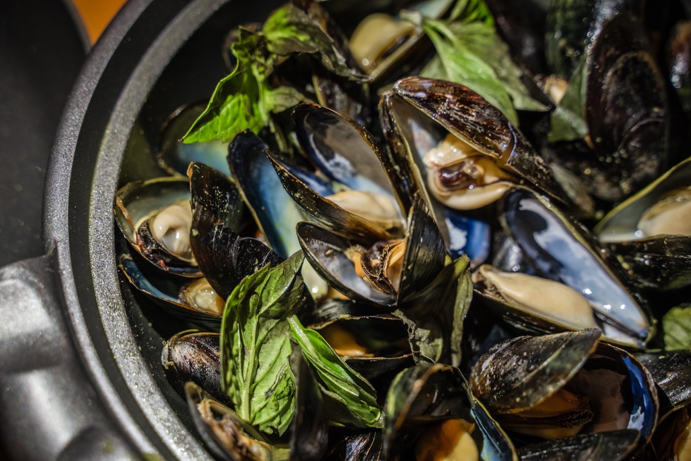 冬天多伦多旅游攻略,多伦多冬季旅游