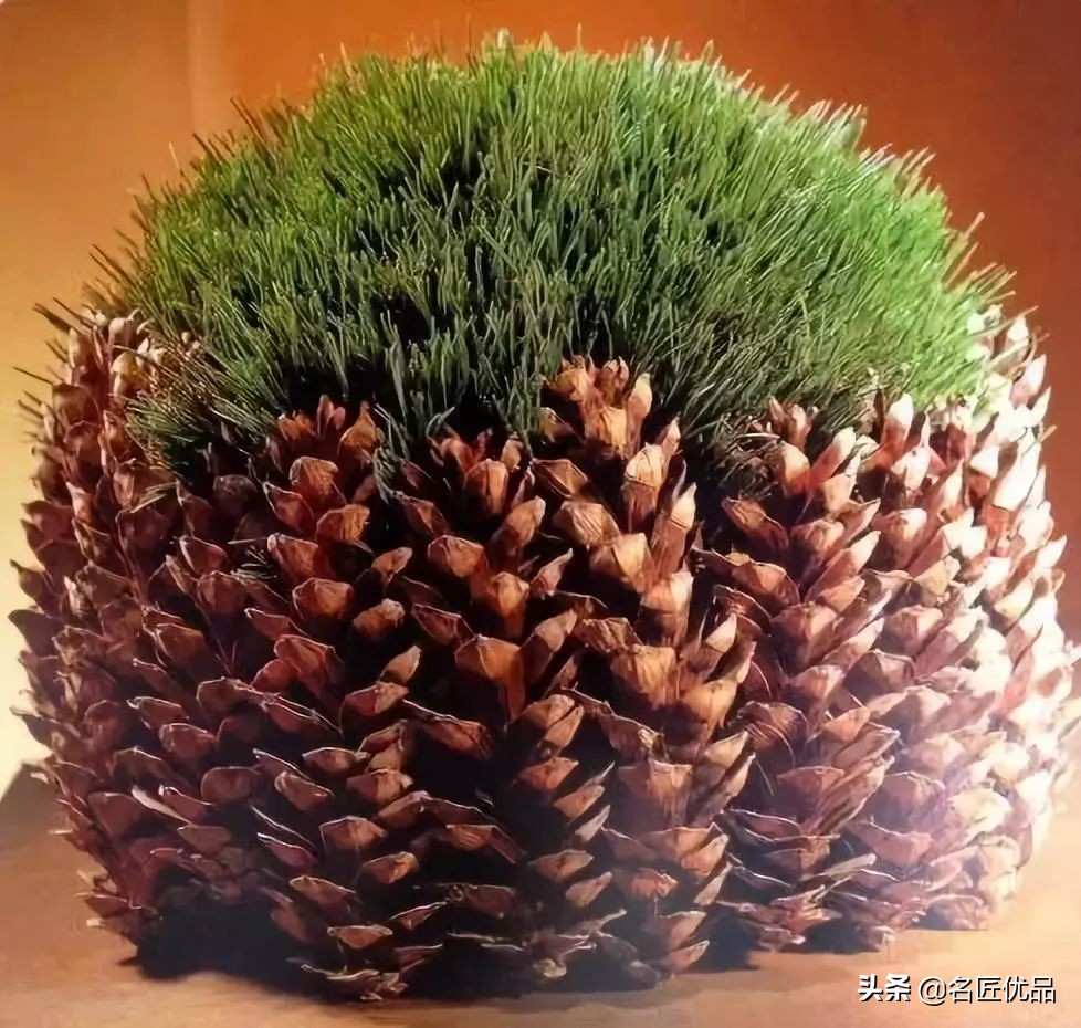 松塔创意手工实用又好看,松塔创意手工动物