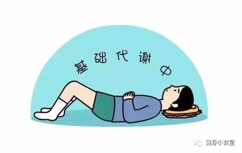 平板支撑怎么锻炼腰围,如何平板支撑斜方肌会瘦