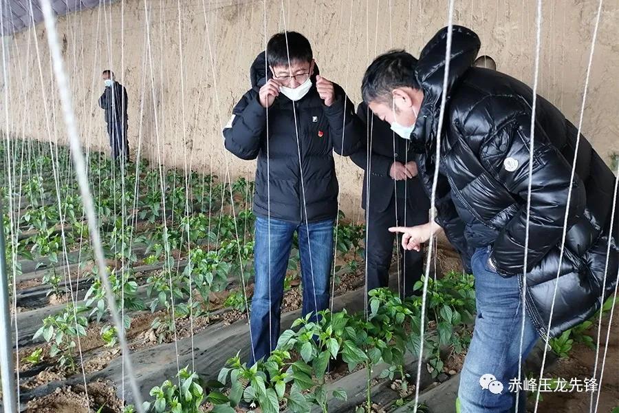 赤峰林西疫情防控最新通告,内蒙古疫情防控情况赤峰林西