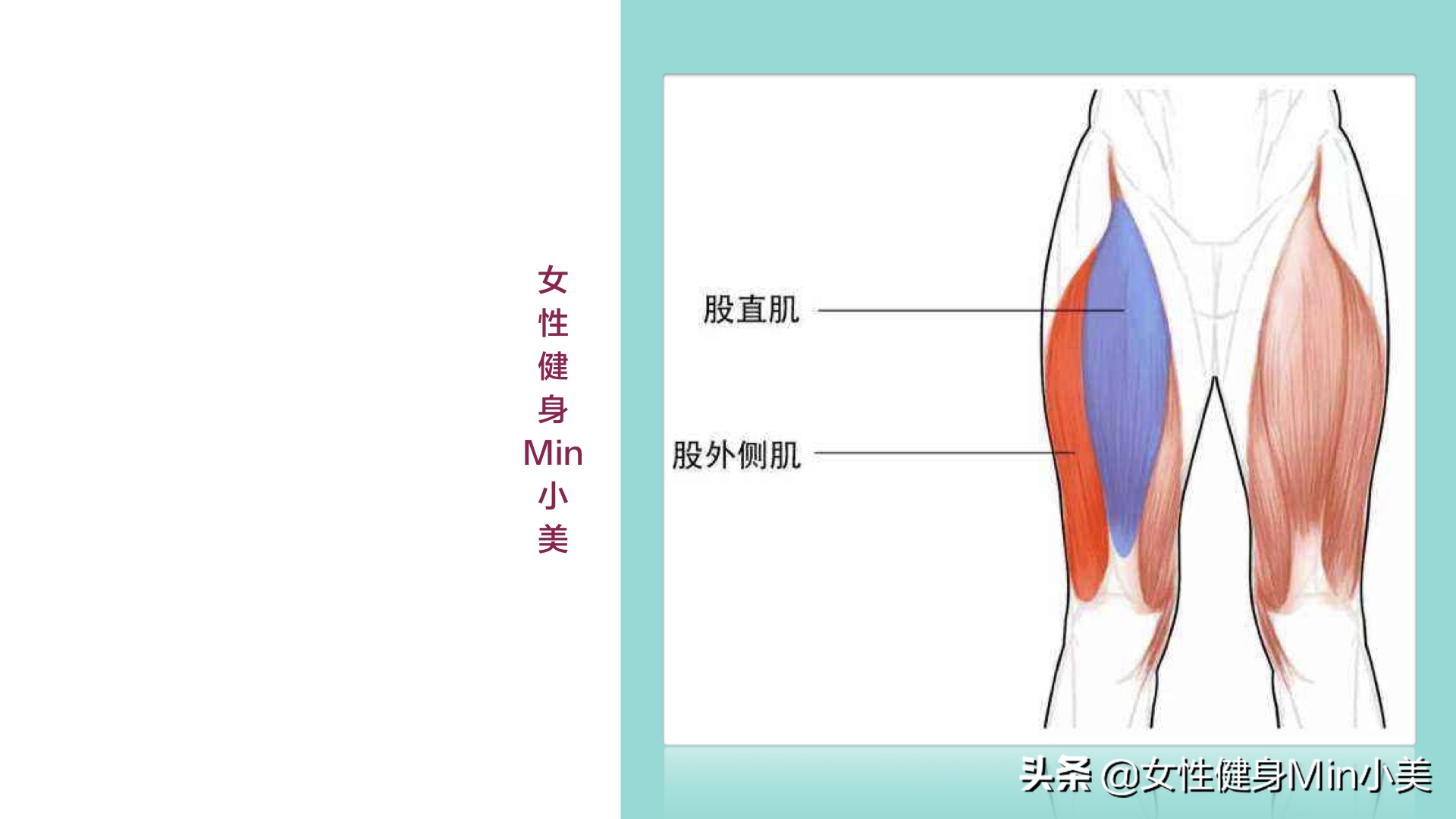 假胯宽大腿粗怎么办呢,假胯宽和大腿粗怎么办
